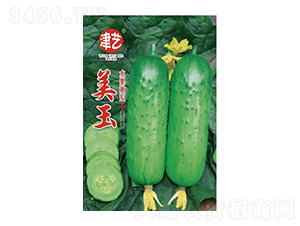 黃瓜種子-美玉-邯豐農(nóng)業(yè)