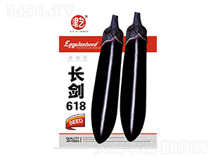 茄子種子-長劍618-邯豐農(nóng)業(yè)