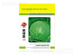 甘藍(lán)種子-新綠嘉-邯豐農(nóng)業(yè)