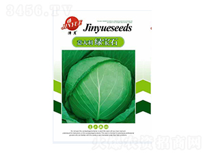 甘藍(lán)種子-意大利綠寶石-邯豐農(nóng)業(yè)
