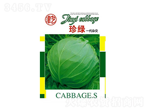 甘藍(lán)種子-珍綠-邯豐農(nóng)業(yè)