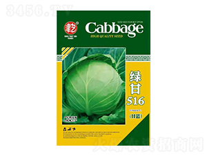 甘藍(lán)種子-綠甘516-邯豐農(nóng)業(yè)