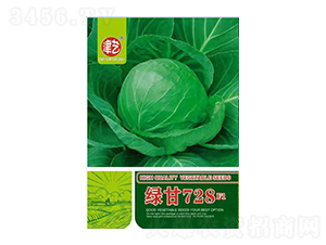甘藍(lán)種子-綠甘728-邯豐農(nóng)業(yè)