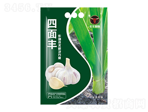 a(chn)g(sh)-S-ţ(gu)H