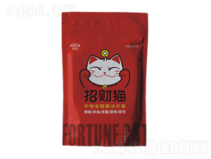 ؔ(ci)؈?jin)a(chn)ײ-ţ(gu)H