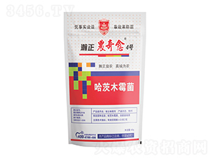 ľù-r(nng)4̖-r(nng)