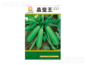 西葫蘆種子-晶瑩王-太樂(lè)種業(yè)