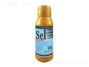 500˶D(zhun)ɫ1̖-r(nng)