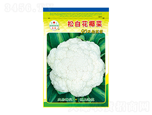 ׻Ҭ˷N-ɰ׻Ҭ-̫(l)NI(y)