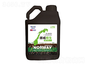 Ų-ʩ_(d)-(yu)r(nng)I(y)