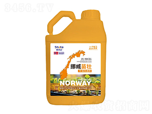 Ų-ʩ_(d)-(yu)r(nng)I(y)