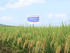 Ƀ(yu)251-ˮN-𽡷NI(y)