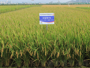 а7̖(ho)-ˮN-𽡷NI(y)