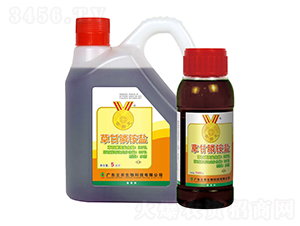 33%ݸˮˎˮ-FԪ-V|r(nng)