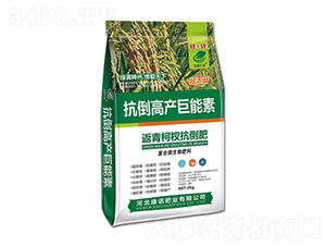 辿-߮a(chn)-ZʘI(y)