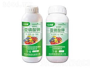 |̦߼0-528-340-|̿-ZʘI(y)