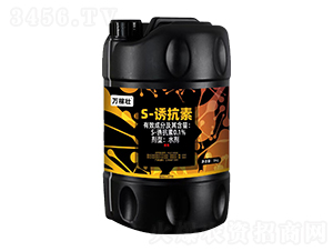 0.1%S-T-f(wn)ډ-r(nng)_(d) 